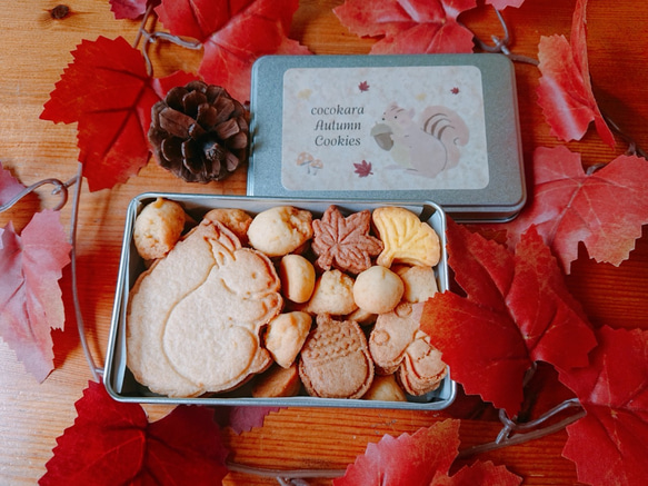 ちいさな秋のクッキー缶【数量限定】 クッキー cocokara's GALLERY