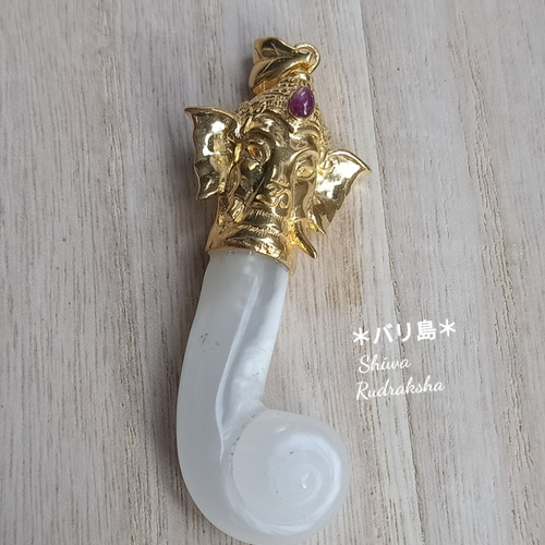 ガネーシャケオン】ペンダントトップ☆入魂儀式済 | Shiwa Rudraksha