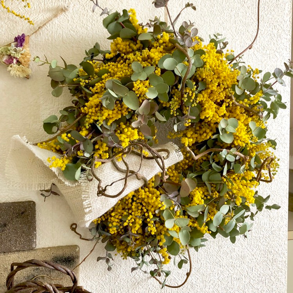 送料無料 ミモザとユーカリのナチュラルリースL② リース Hana 通販  