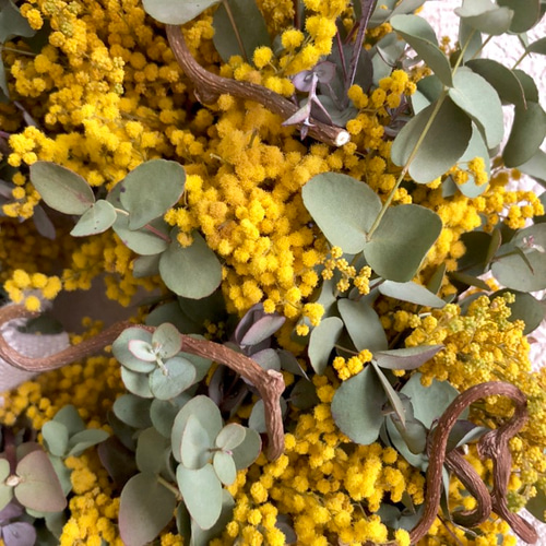 送料無料 ミモザとユーカリのナチュラルリースL② リース Hana 通販  