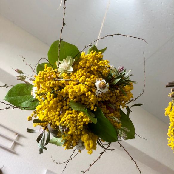 送料無料 ナチュラルボールリース④ ミモザ リース Hana 通販｜Creema  