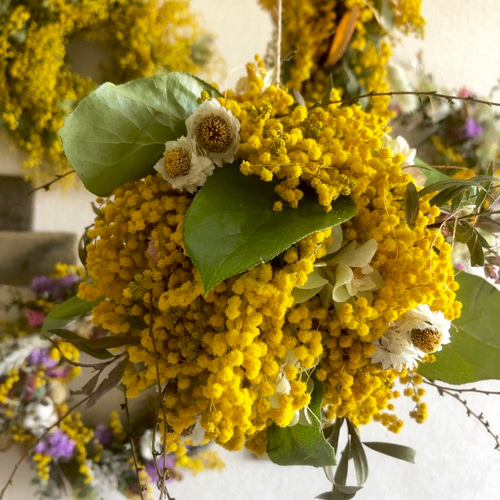 送料無料 ナチュラルボールリース④ ミモザ リース Hana 通販｜Creema  