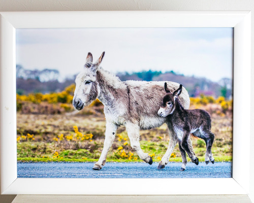 1_f2b8385959184c6ae6617c63a6a1