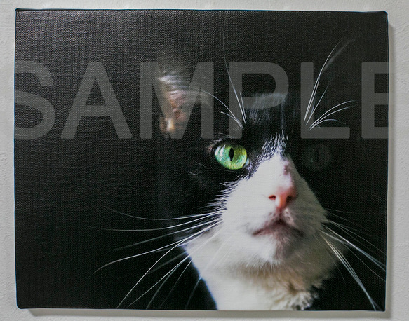 <<Sale>>翡翠 (猫のポートレート/キャンバスウォールデコ) 2枚目の画像