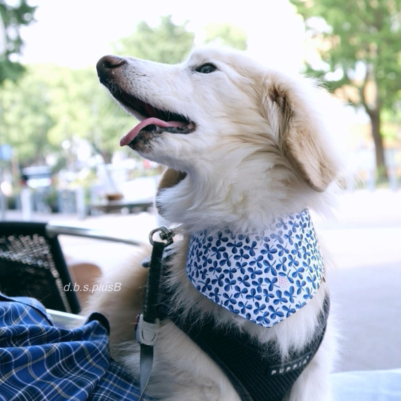 【残１点】藍色クローバー バンダナ/三つ葉・葉っぱ・クローバー柄・ボタニカル・犬猫 3枚目の画像