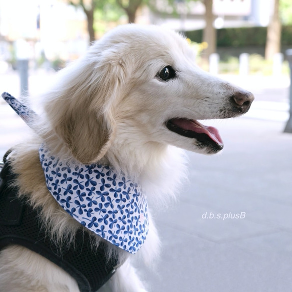 【残１点】藍色クローバー バンダナ/三つ葉・葉っぱ・クローバー柄・ボタニカル・犬猫 4枚目の画像