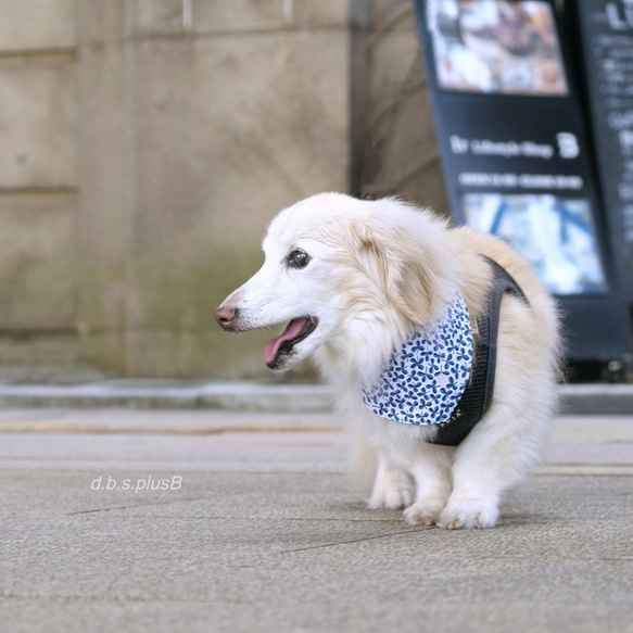 【残１点】藍色クローバー バンダナ/三つ葉・葉っぱ・クローバー柄・ボタニカル・犬猫 5枚目の画像