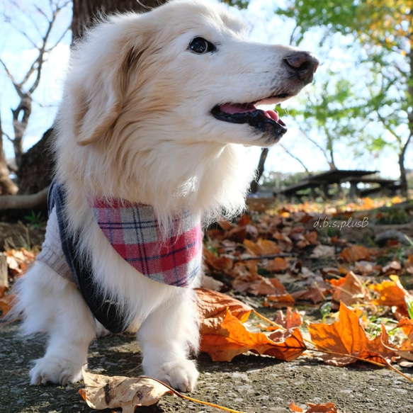 チェック柄 バンダナ(レッド＆グレー/ブルー＆グリーン)  起毛・チェック柄・あったか素材・秋冬・犬猫 4枚目の画像