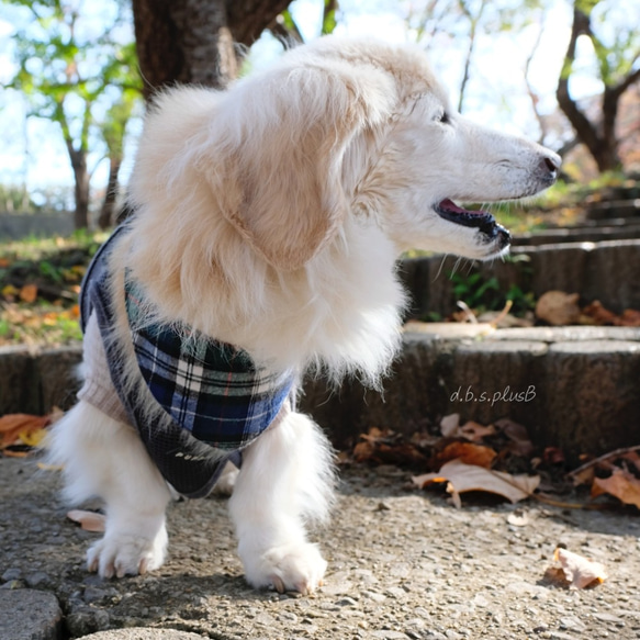 チェック柄 バンダナ(レッド＆グレー/ブルー＆グリーン)  起毛・チェック柄・あったか素材・秋冬・犬猫 9枚目の画像