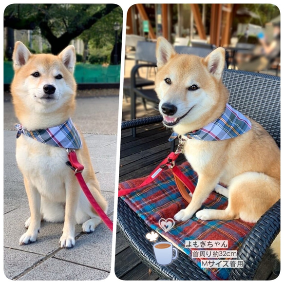 マドラスチェックバンダナ【ブルー×カーキ系】 /チェック柄・トラッド・犬猫 3枚目の画像