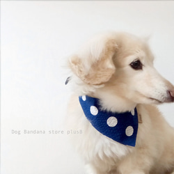 【sold out】水玉　リップルドット バンダナ・犬・猫 　ポップ　 4枚目の画像