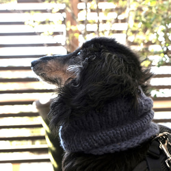 残Mサイズのみ♪冬限定☆犬用　スヌード・ネックウォーマー  エアリー『ブルー』 4枚目の画像