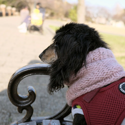 冬限定☆犬用　スヌード・ネックウォーマー  エアリー『ピンク』 2枚目の画像