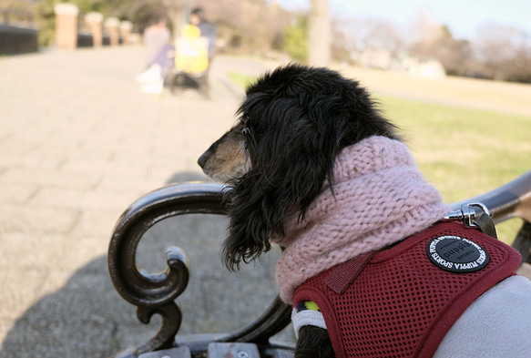 冬限定☆犬用　スヌード・ネックウォーマー  エアリー『ピンク』 2枚目の画像