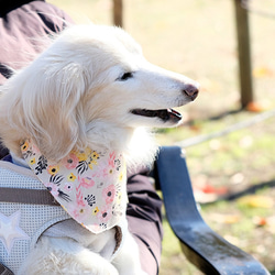 【sold out】水彩花柄 バンダナ  /フラワー・ボタニカル・植物・犬・猫 5枚目の画像