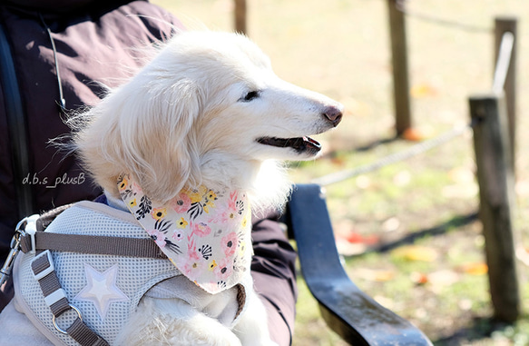 【sold out】水彩花柄 バンダナ  /フラワー・ボタニカル・植物・犬・猫 5枚目の画像