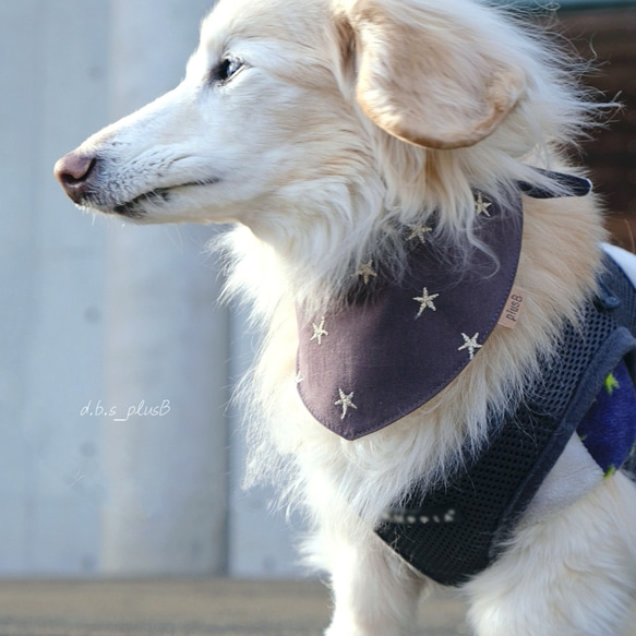 【残１点】ゴールド刺繍 星柄バンダナ/スター・くすみカラー・犬・猫 5枚目の画像