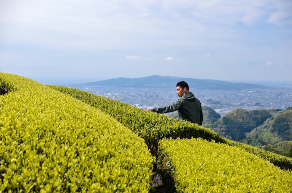 お茶福袋！煎茶「和」リーフ＆「和紅茶・ほうじ茶」ティーバッグ！煎茶ティーバッグおまけ付き 10枚目の画像