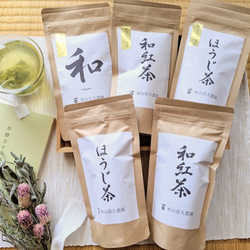 水出し茶や冷茶にもピッタリ！杉山貢大農園お茶ティーバッグ＆リーフセット！ 1枚目の画像