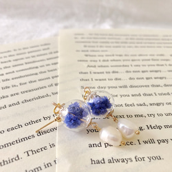 不規則な形状の淡水真珠のイヤリングとシュッコンカスミソウのガラス玉青い小さなぶら下げ永遠の花ドライフラワー 2枚目の画像