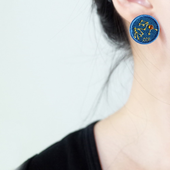 宇宙#39 星座圖 水瓶座 刺繡貼耳耳環 耳夾/耳針 第2張的照片