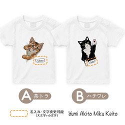 [名入れOK]ネコのTシャツ お名前 茶トラ ハチワレ 猫 女の子 プレゼント 半袖 キッズ T040 3枚目の画像