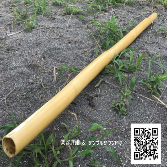 竹製ディジュリドゥ 楽器・アクセサリ Smily-Gallery 通販 5930314 