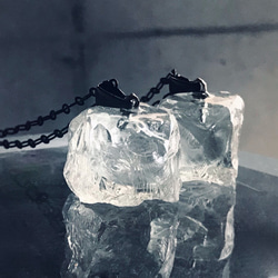 Silver icE 2枚目の画像