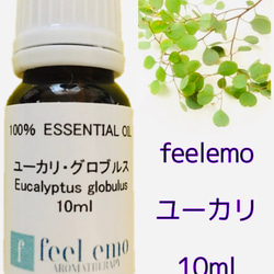 ｱﾛﾏｵｲﾙ ユーカリ·グロブルス 10ml (エッセンシャルオイル・精油) 1枚目の画像