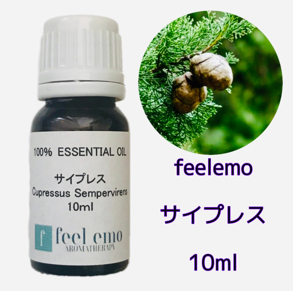 ｱﾛﾏｵｲﾙ サイプレス 10ml (エッセンシャルオイル・精油) 1枚目の画像