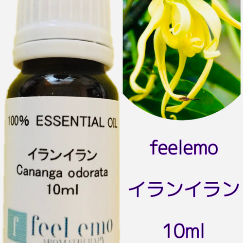 ｱﾛﾏｵｲﾙ イランイラン 10ml (エッセンシャルオイル・精油