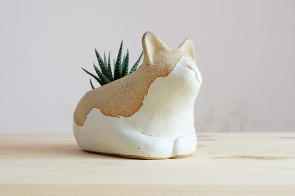 阿喵－貓咪陶製盆器盆栽 第1張的照片