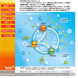  第9張的照片