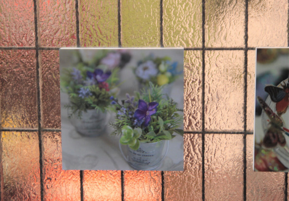 写真パネルS「アルヒノ。」 写真・グラフィック ArtdeFleur 通販｜Creema(クリーマ)