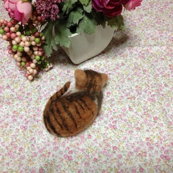 おやすみ三毛猫 3枚目の画像