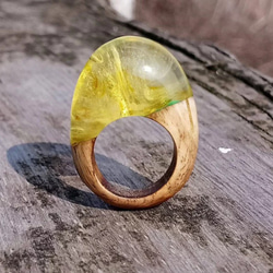 [免費送貨]工藝！天然木材樹脂“ Ring”的特殊戒指配件按所需的戒指尺寸製造！您也可以製作不同的顏色！ 第3張的照片