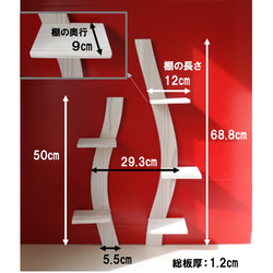  第3張的照片