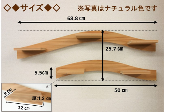  第5張的照片