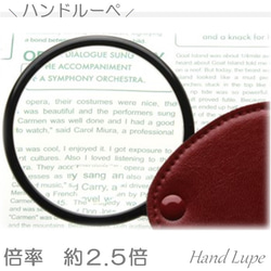 ルーペ 拡大鏡 虫メガネ ハンド ポケット 軽い コンパクト おしゃれ 倍率2.5倍 小玉4倍 収納ケース L456 3枚目の画像