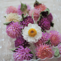 ✧固まるハーバリウム✧ 固まるオイルで作ったミニコルク瓶 ペン・筆記