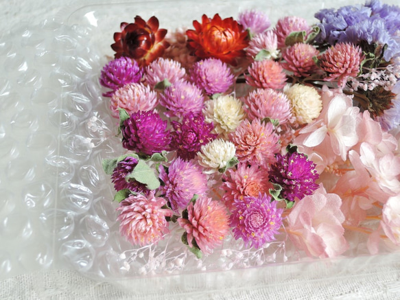 再販【2019年産・花材セット・全8種】千日紅✧ヘリクリサム✧スターチス（ドライ） ＋ 紫陽花など（プリザ） 2枚目の画像