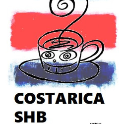 COSTARICA SHB DECAF（コスタリカ デカフェ） 3枚目の画像