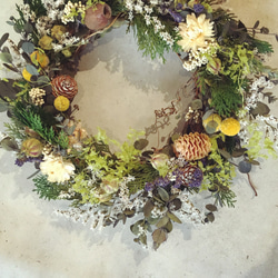 Dry Flower Wreath ~gift from forest~2 2枚目の画像