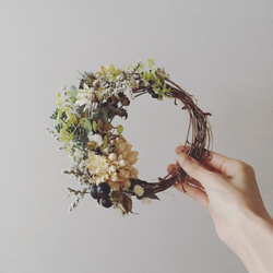 Dry Flower Wreath ~winds of forest 2 1枚目の画像
