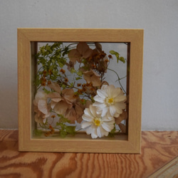 Preserved ＆Dry Flower Arrangement エルビエ Cb 1枚目の画像