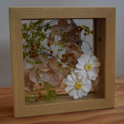 Preserved ＆Dry Flower Arrangement エルビエ Cb 2枚目の画像