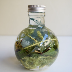 Herbarium G 1枚目の画像