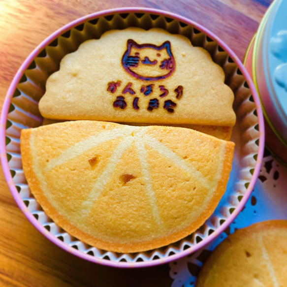 《熊本県芦北町復興支援商品》デコポン&「どらたま」クッキー缶 2枚目の画像