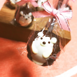 もも様専用 ハリネズミケーキポップ 5本セット 2枚目の画像