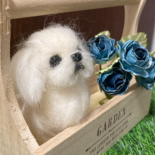 ⭐️オーダーページ羊毛フェルト犬⭐️ 星様専用オーダーページ 羊毛フェルト犬 額縁 - メルカリ